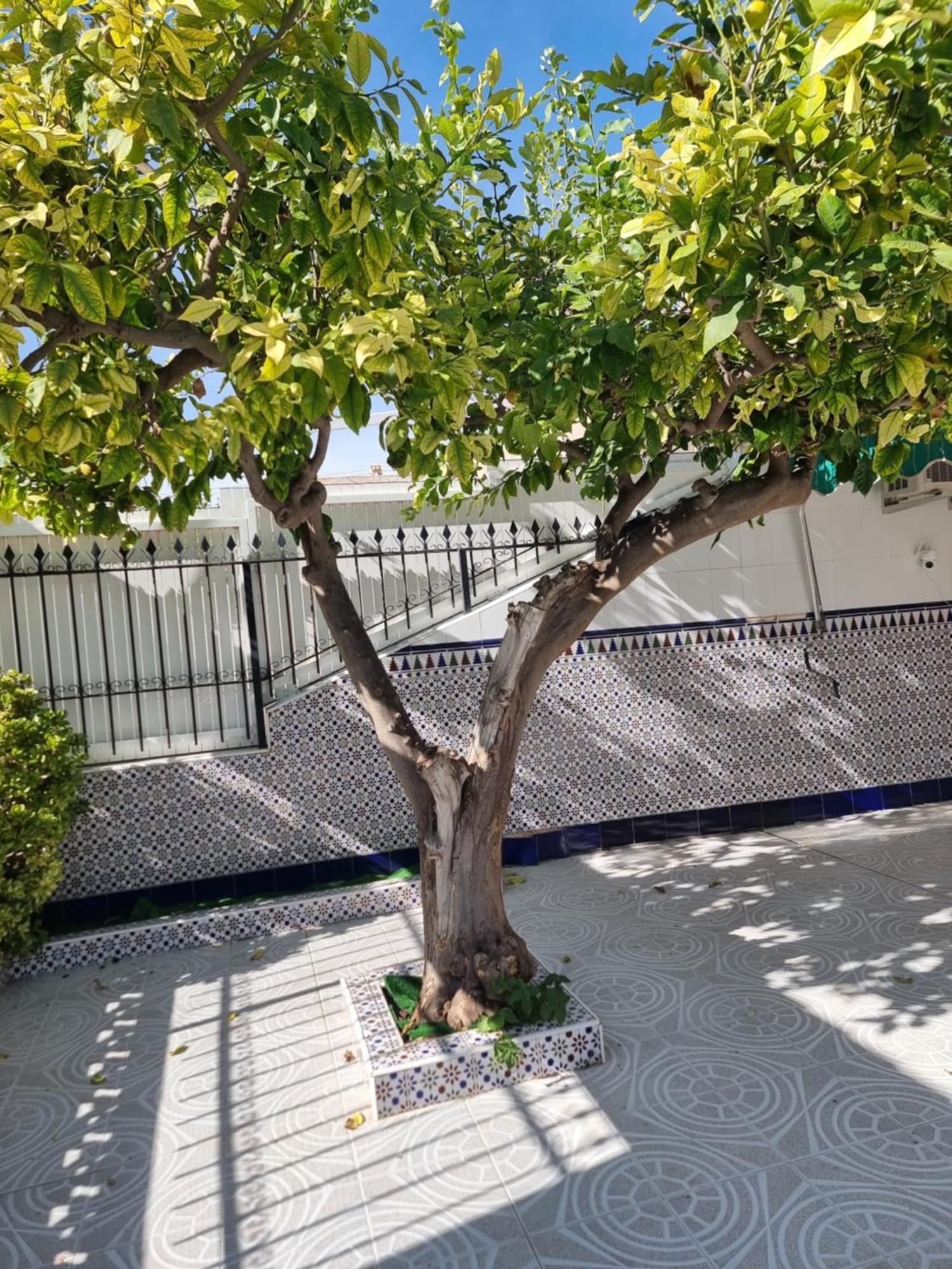Casa Tranquila Cerca Del Mar Villa Santiago De La Ribera Ngoại thất bức ảnh